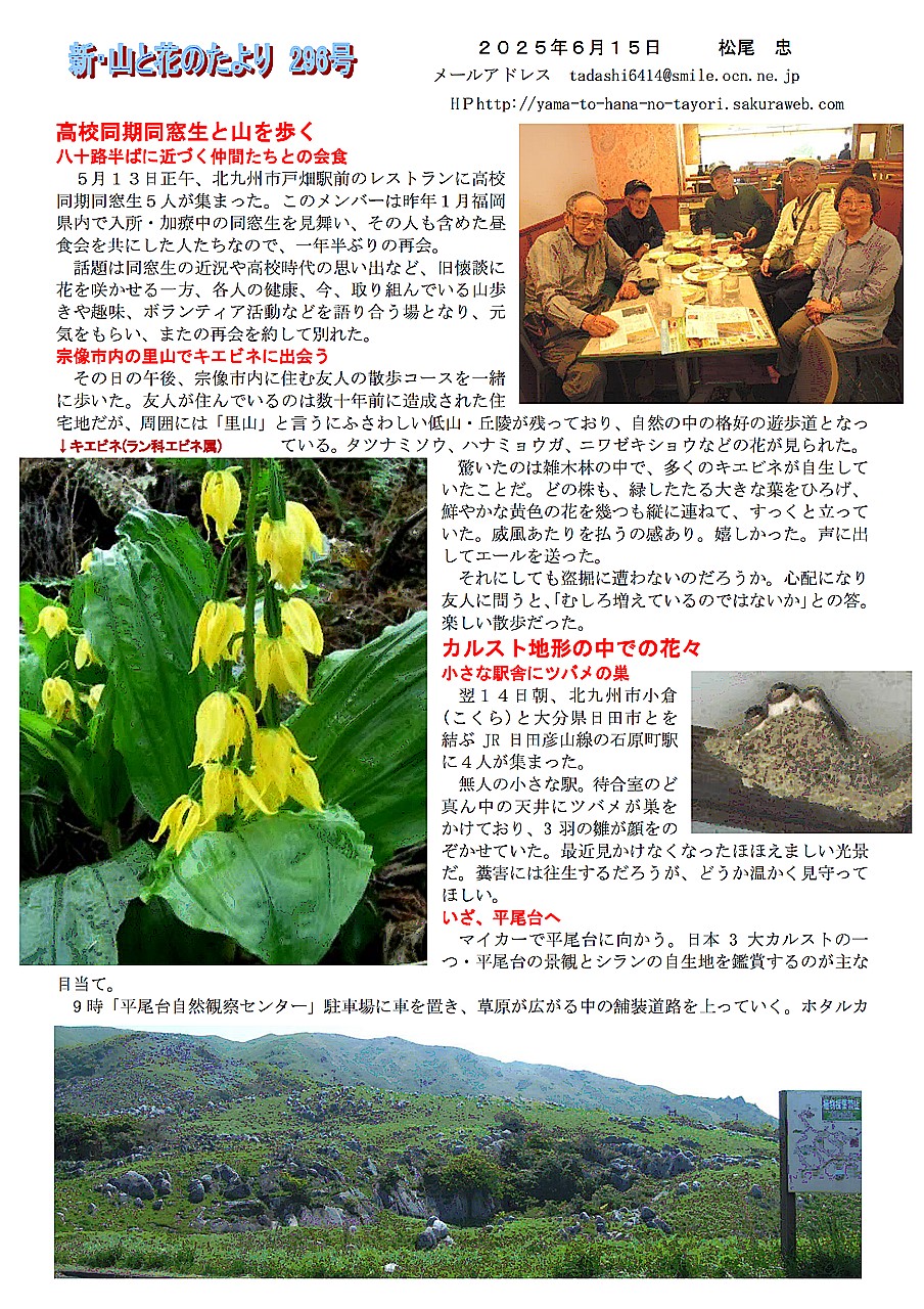 296image1.jpg