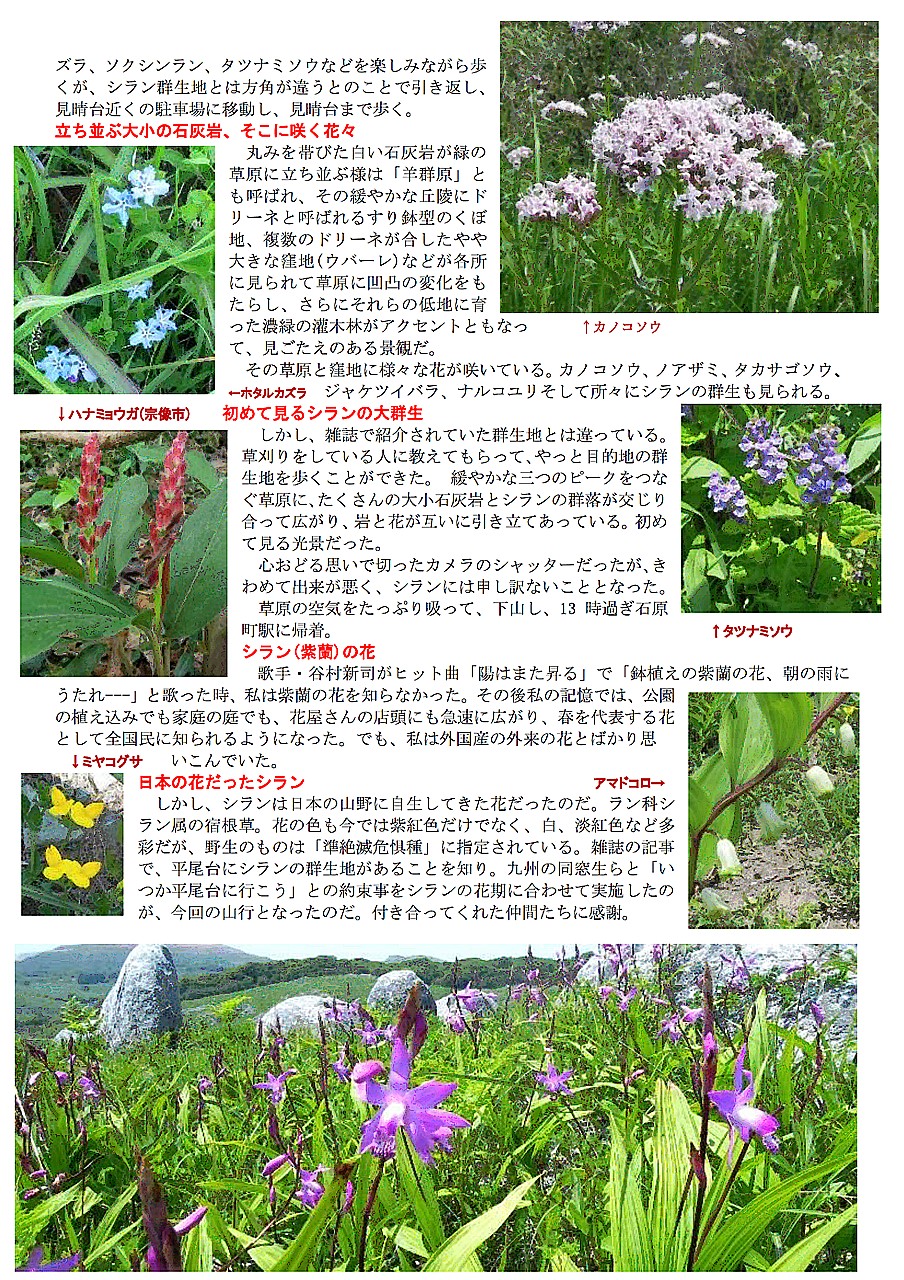296image2.jpg