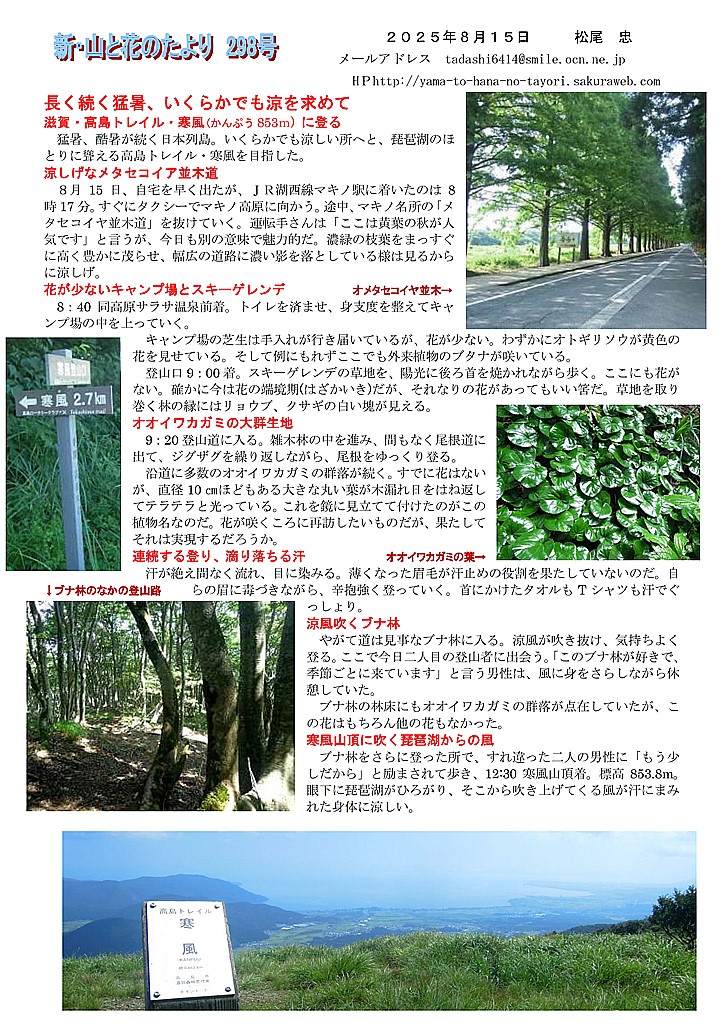 image1.jpg